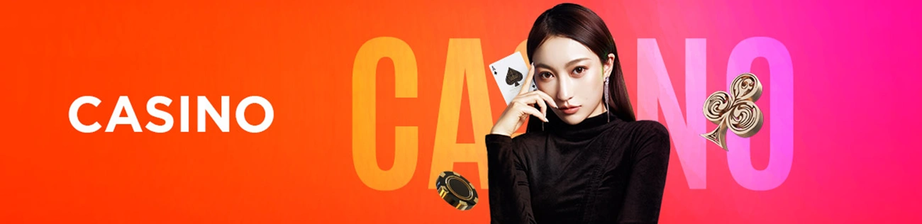 bingo8 Live Casino