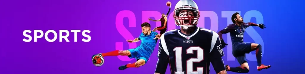 bingo8 Sports Betting