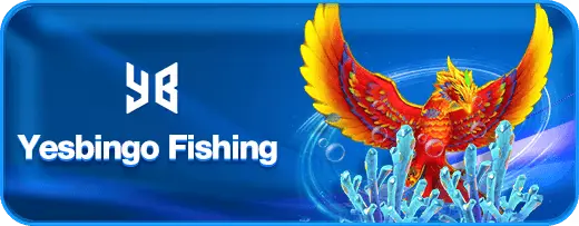 bingo8 fish yb 2