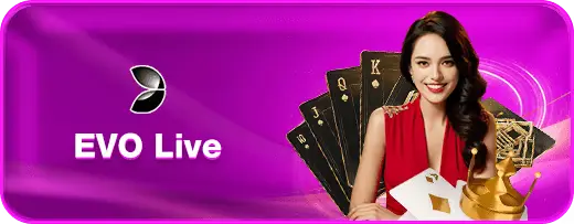 bingo8 live evo 2